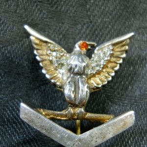 Eagle bronze pin possibily Military Marked